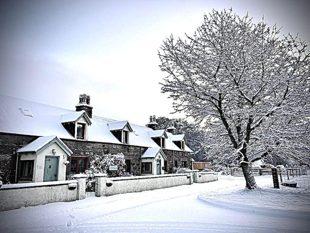 Rosemount Cottage Two - Highland Cottage Garve Dış mekan fotoğraf